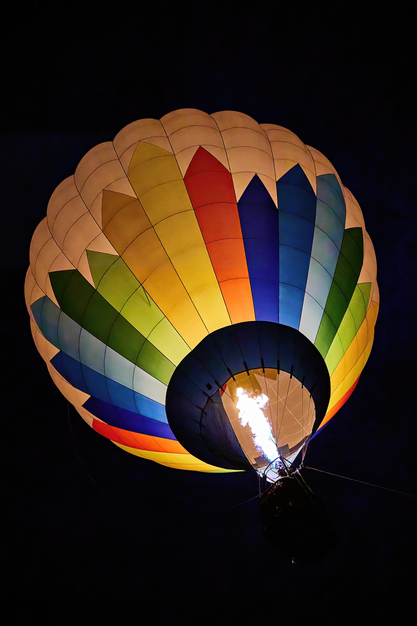 Go on a Hot Air Balloon Ride in Fredericksburg Things to do in